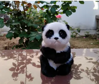 Mielas modeliavimas sėdi panda 